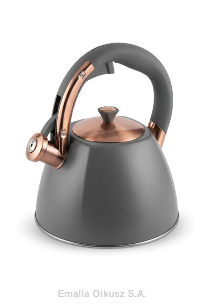 Czajnik tradycyjny nierdzewny lakierowany proszkowo PREMIUM 3 L ciemno-szary matowy